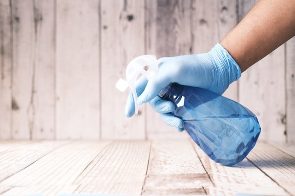 Pest Control Services